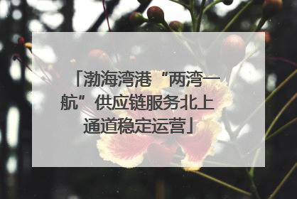 渤海湾港“两湾一航”供应链服务北上通道稳定运营