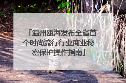 温州瓯海发布全省首个时尚流行行业商业秘密保护操作指南