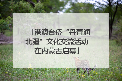 港澳台侨“丹青润北疆”文化交流活动在内蒙古启幕