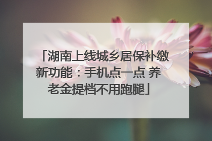 湖南上线城乡居保补缴新功能：手机点一点 养老金提档不用跑腿