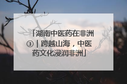 湖南中医药在非洲③｜跨越山海，中医药文化浸润非洲