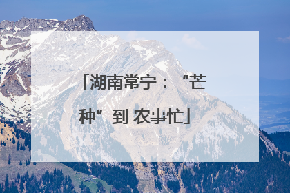 湖南常宁：“芒种”到 农事忙