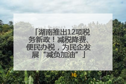 湖南推出12项税务新政！减税降费、便民办税，为民企发展“减负加油”