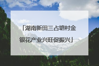 湖南新田三占塘村金银花产业兴旺促振兴