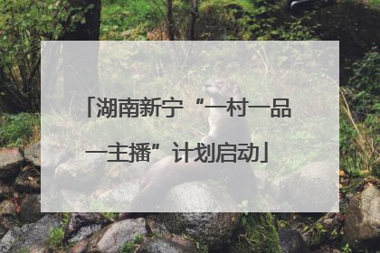 湖南新宁“一村一品一主播”计划启动