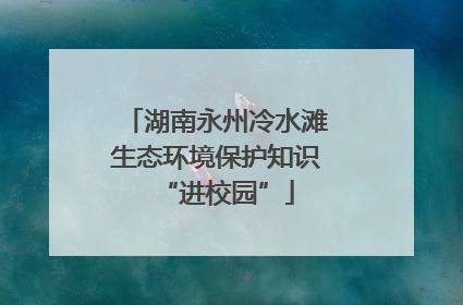 湖南永州冷水滩生态环境保护知识“进校园”