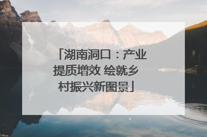 湖南洞口：产业提质增效 绘就乡村振兴新图景