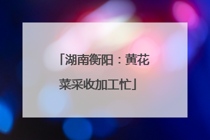 湖南衡阳：黄花菜采收加工忙