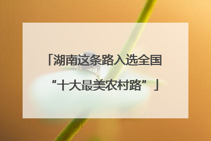 湖南这条路入选全国“十大最美农村路”