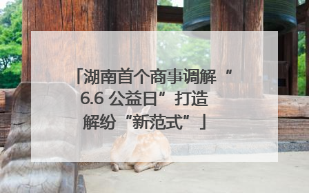 湖南首个商事调解“6.6 公益日”打造解纷“新范式”