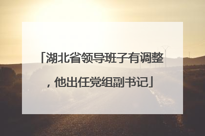 湖北省领导班子有调整，他出任党组副书记