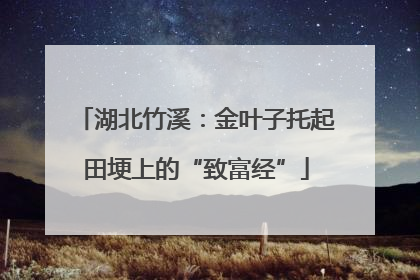 湖北竹溪：金叶子托起田埂上的“致富经”