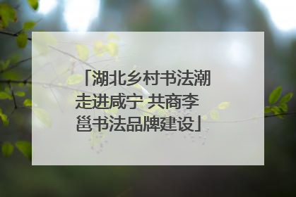 湖北乡村书法潮走进咸宁 共商李邕书法品牌建设