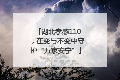湖北孝感110，在变与不变中守护“万家安宁”