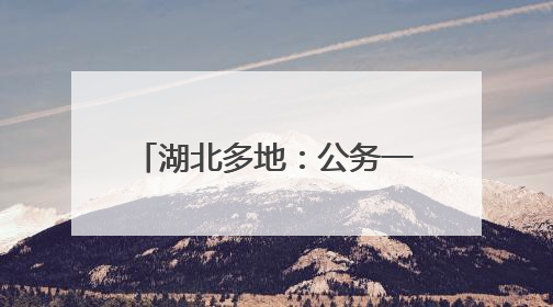 湖北多地：公务一律扫码吃食堂！