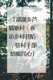 湖潮乡芦猫塘村：夜访乡村巷陌，驻村干部情暖民心