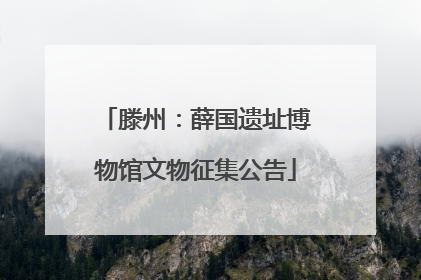 滕州：薛国遗址博物馆文物征集公告