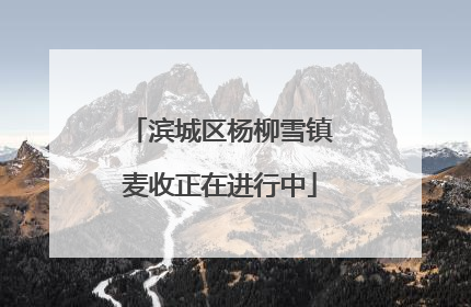 滨城区杨柳雪镇麦收正在进行中