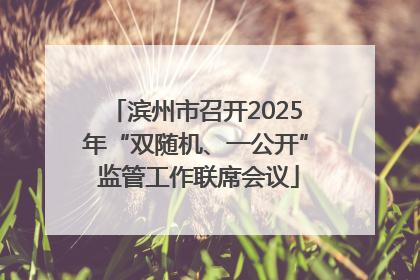 滨州市召开2025年“双随机、一公开” 监管工作联席会议