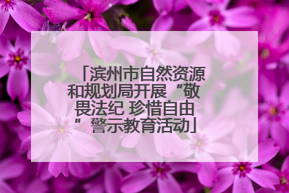 滨州市自然资源和规划局开展“敬畏法纪 珍惜自由”警示教育活动