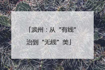 滨州：从“有线”治到“无线”美