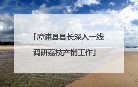 漳浦县县长深入一线调研荔枝产销工作