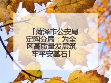 菏泽市公安局定陶分局：为全区高质量发展筑牢平安基石