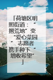 荷塘区明照街道：“撂荒地”变“爱心菜园” 志愿者携手种下“增收希望”