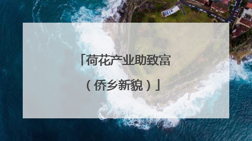 荷花产业助致富（侨乡新貌）
