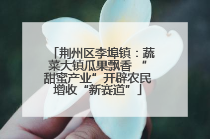 荆州区李埠镇：蔬菜大镇瓜果飘香 “甜蜜产业”开辟农民增收“新赛道”
