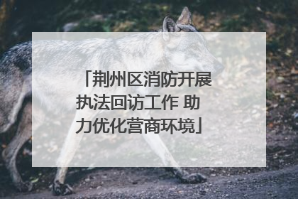 荆州区消防开展执法回访工作 助力优化营商环境