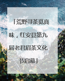 荒野寻茶觅真味，红安县第九届老君眉茶文化节启幕