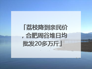 荔枝降到亲民价，合肥周谷堆日均批发20多万斤