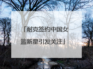 耐克签约中国女篮新星引发关注