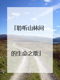 聆听山林间的生命之歌