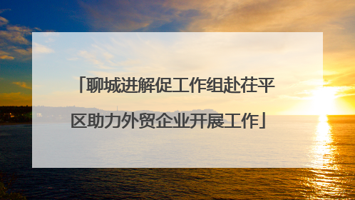 聊城进解促工作组赴茌平区助力外贸企业开展工作