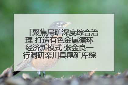 聚焦尾矿深度综合治理 打造有色金属循环经济新模式 张金良一行调研栾川县尾矿库综合治理工作