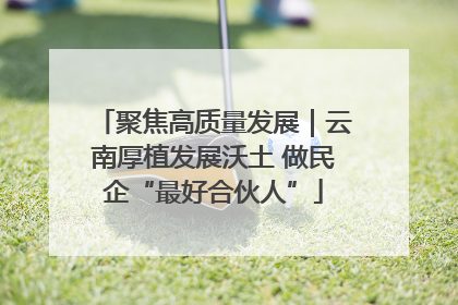 聚焦高质量发展｜云南厚植发展沃土 做民企“最好合伙人”
