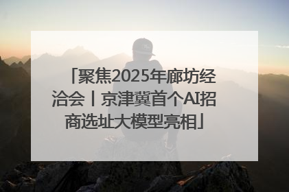 聚焦2025年廊坊经洽会丨京津冀首个AI招商选址大模型亮相