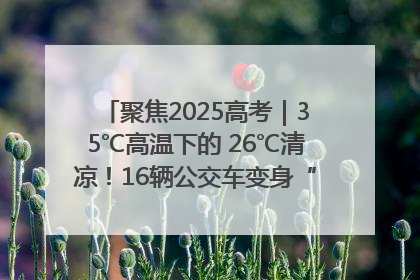 聚焦2025高考｜35℃高温下的 26℃清凉！16辆公交车变身“助考驿站”为高考护航