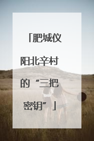 肥城仪阳北辛村的“三把密钥”