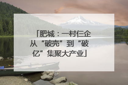 肥城：一村仨企从“破壳”到“破亿”集聚大产业