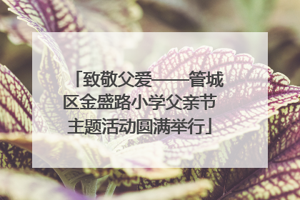 致敬父爱——管城区金盛路小学父亲节主题活动圆满举行