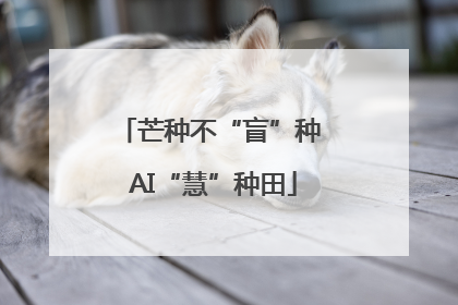 芒种不“盲”种 AI“慧”种田