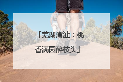 芜湖湾沚：桃香满园醉枝头