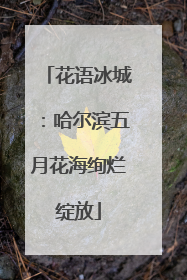 花语冰城：哈尔滨五月花海绚烂绽放