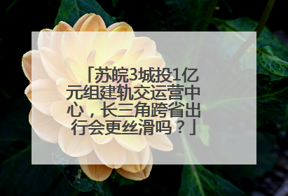苏皖3城投1亿元组建轨交运营中心，长三角跨省出行会更丝滑吗？