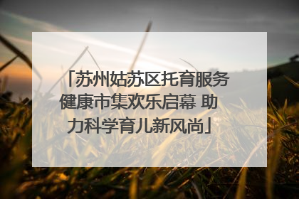 苏州姑苏区托育服务健康市集欢乐启幕 助力科学育儿新风尚
