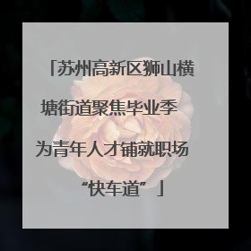 苏州高新区狮山横塘街道聚焦毕业季 为青年人才铺就职场“快车道”