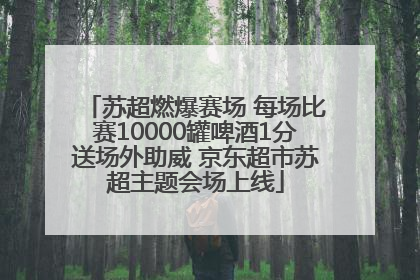 苏超燃爆赛场 每场比赛10000罐啤酒1分送场外助威 京东超市苏超主题会场上线